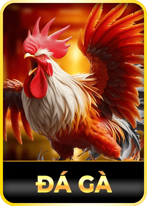 Đá Gà 5699